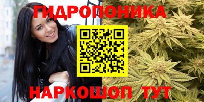 таблы Кингисепп