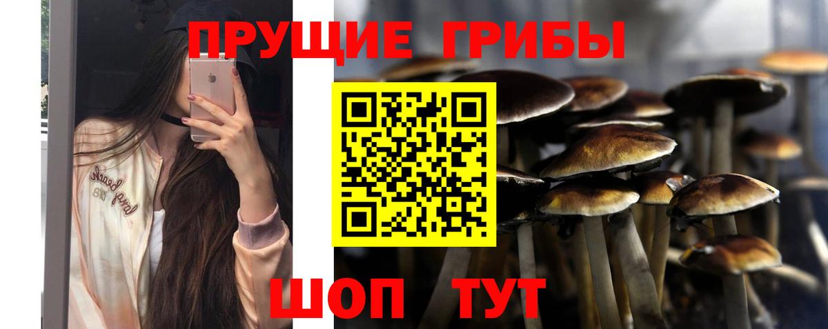 Югорск  Галлюциногенные грибы Magic Shrooms  Вход с VPN 