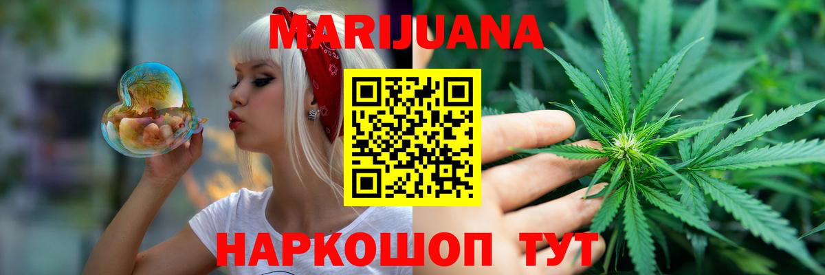 Конопля сатива Югорск